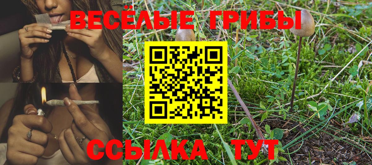 Псилоцибиновые грибы Psilocybine cubensis  Вход с VPN  Снежинск 