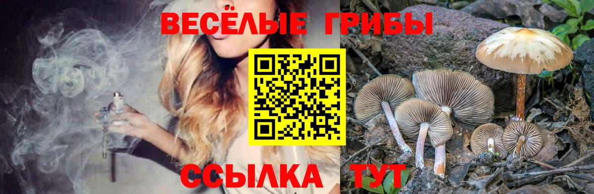Галлюциногенные грибы мицелий Снежинск